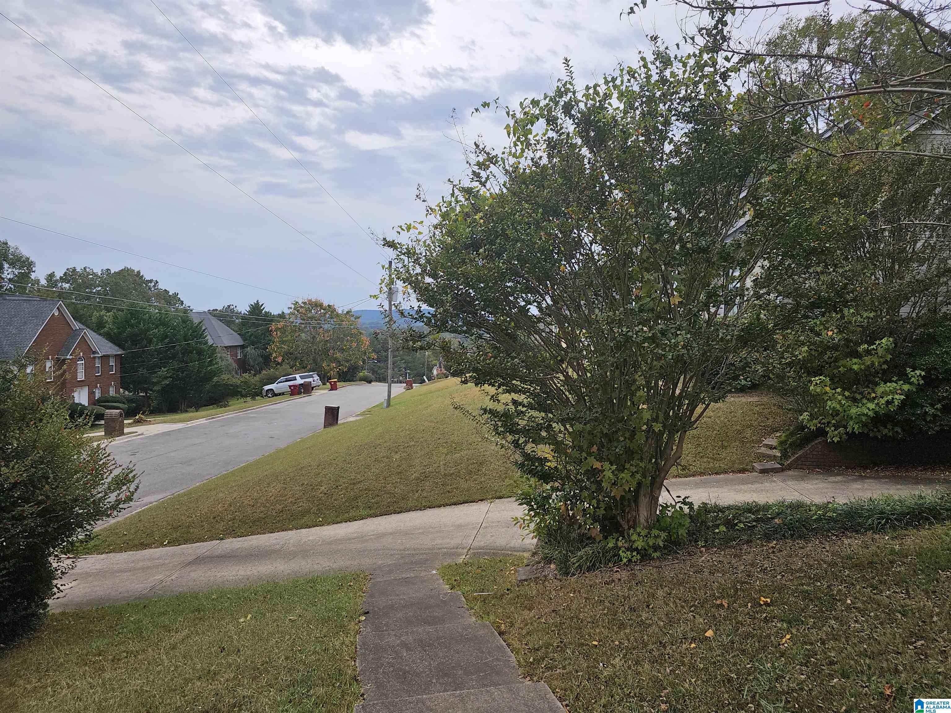 4886 Hackberry Circle Pinson, AL 35126 - Photo 47 of 87