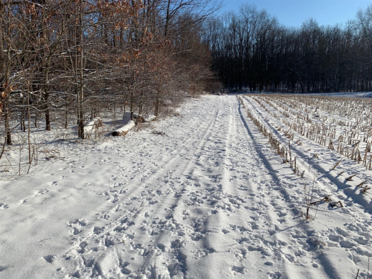 57 Ball Road Dowagiac, MI 49047 - Photo 4 of 70