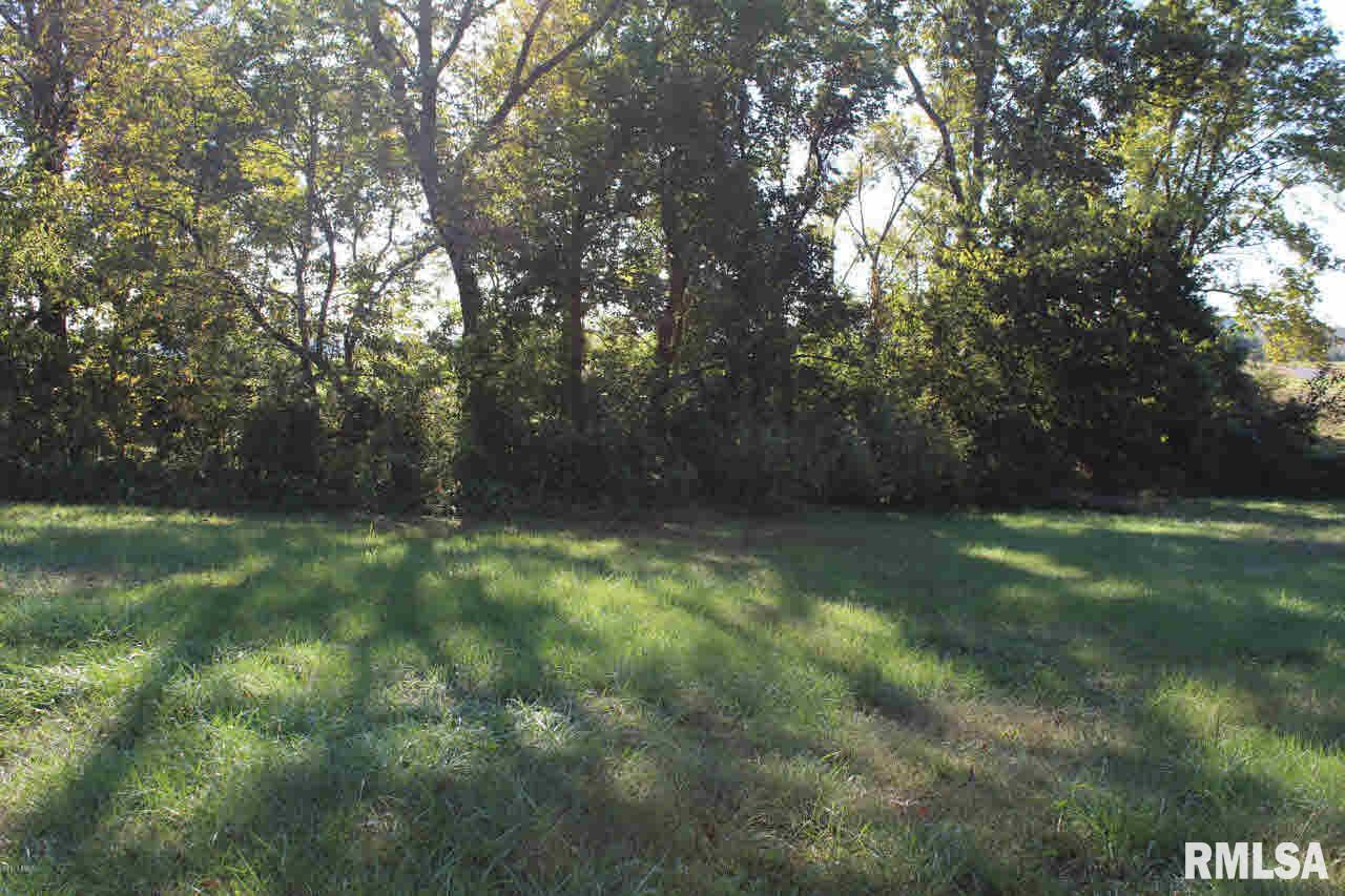 17245 New Dennison Road Marion, IL 62959 - Photo 22 of 23 Gallery Image 22