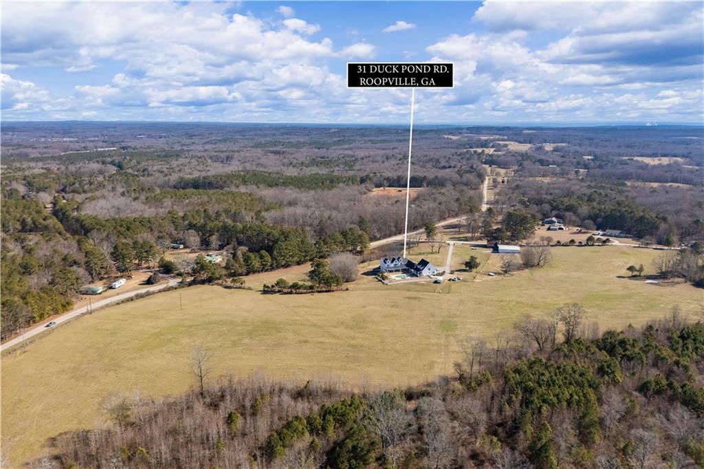 31 Duck Pond Road Roopville, GA 30170 - Photo 30 of 136