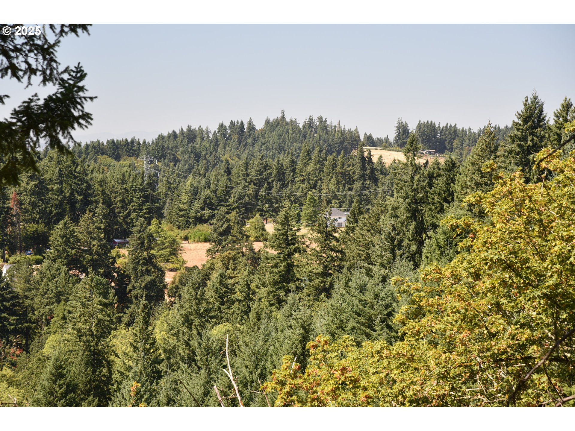 0 Southwest Mountain Road West Linn, OR 97068 - Photo 2 of 10 a view of a large trees with lots of bushes