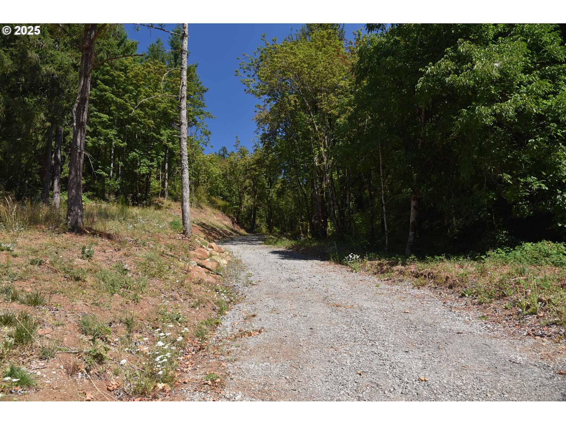 0 Southwest Mountain Road West Linn, OR 97068 - Photo 3 of 10 a view of a yard with plants