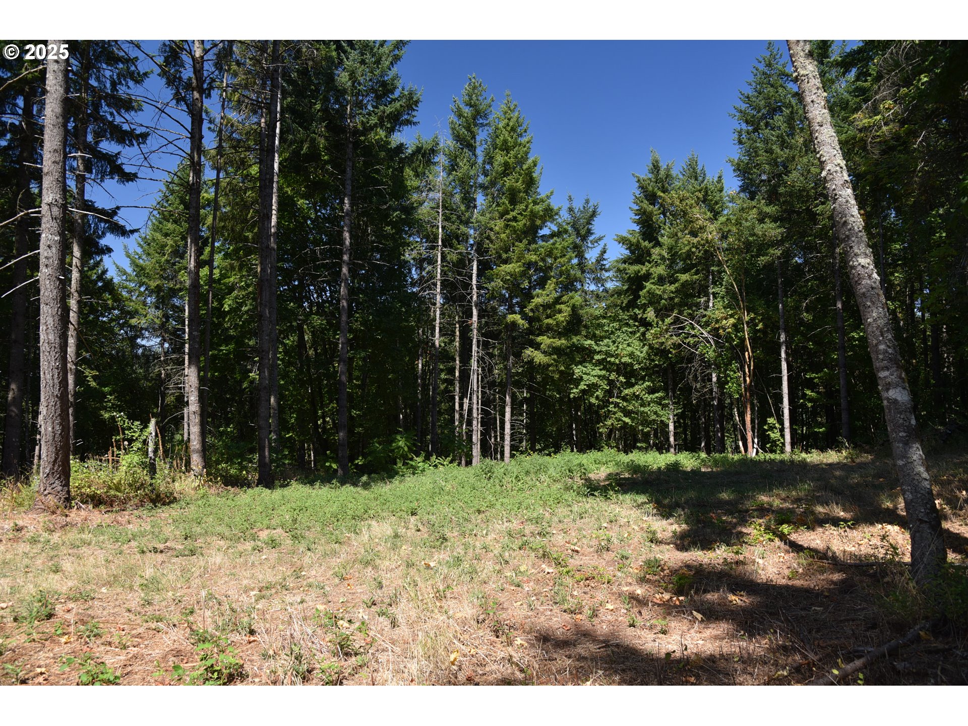 0 Southwest Mountain Road West Linn, OR 97068 - Photo 6 of 10 a backyard of a house with lots of green space