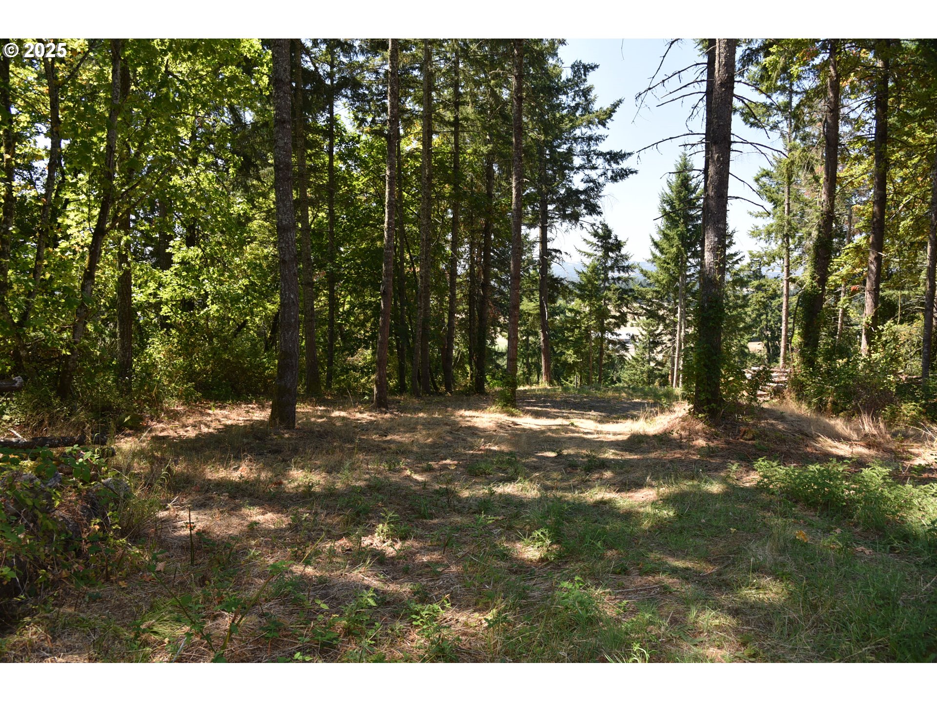 0 Southwest Mountain Road West Linn, OR 97068 - Photo 7 of 10 a view of a yard with a tree