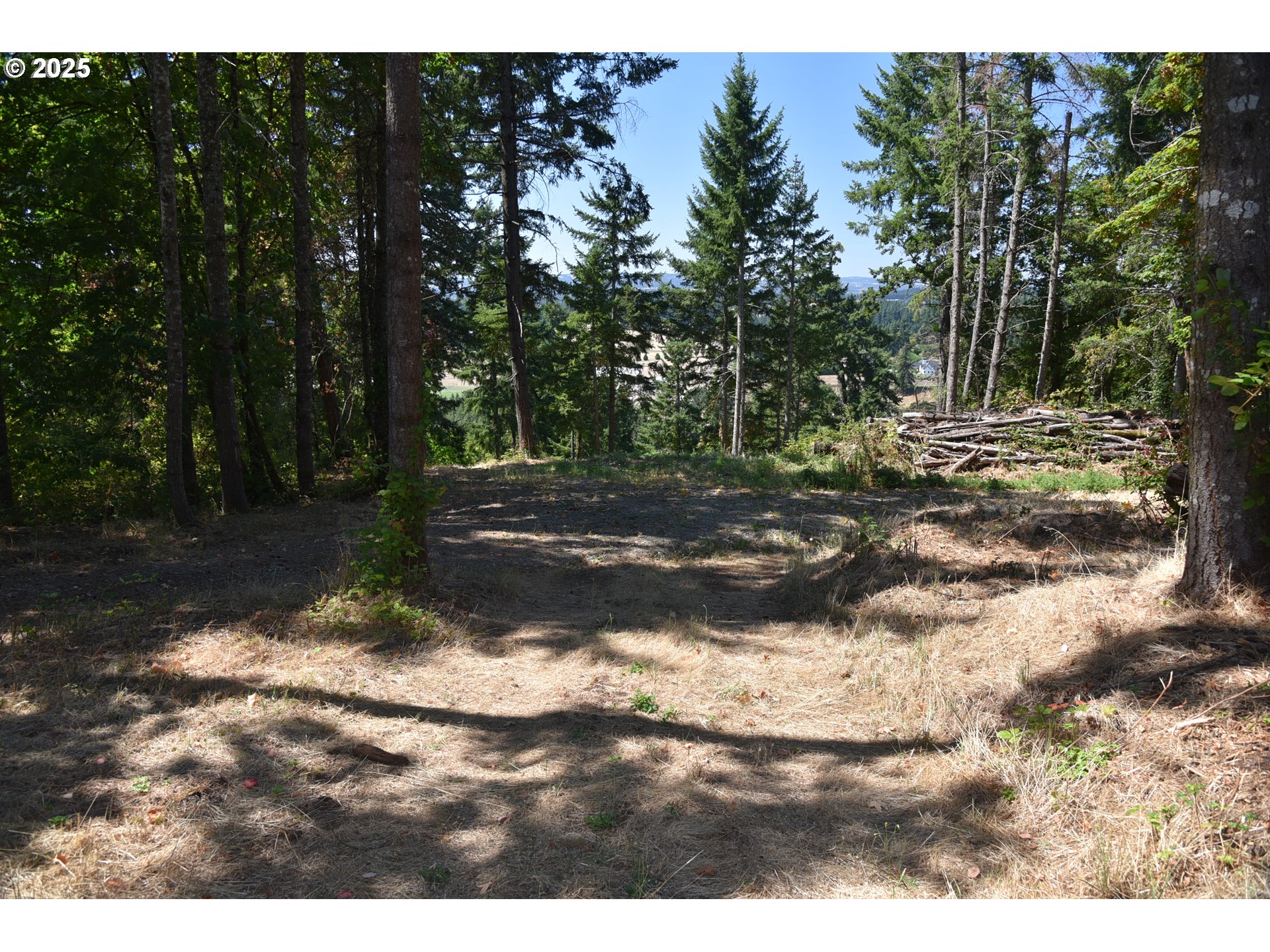 0 Southwest Mountain Road West Linn, OR 97068 - Photo 8 of 10 a view of a yard with large trees