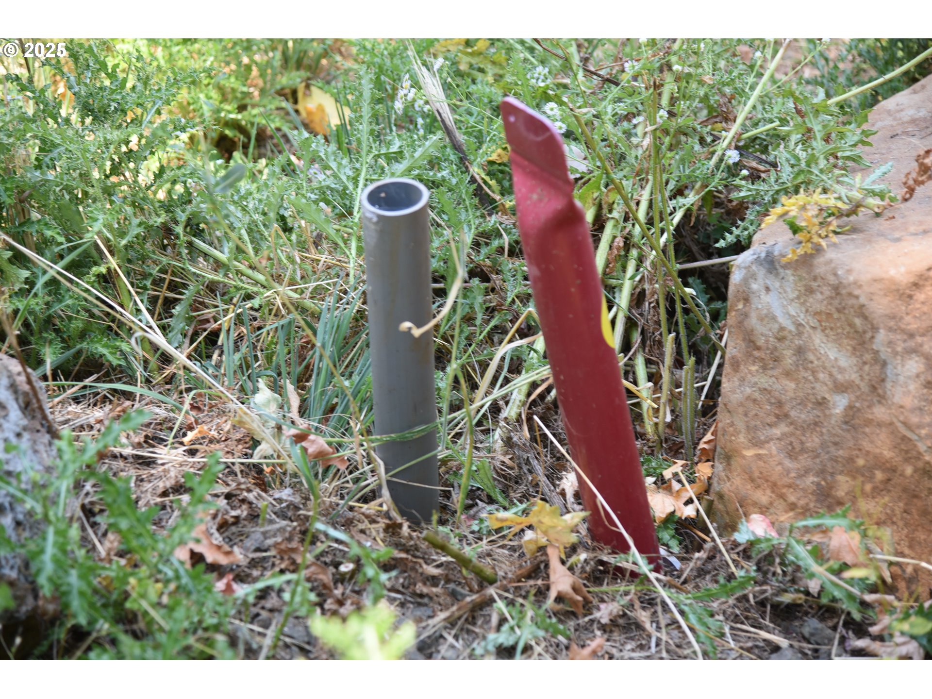 0 Southwest Mountain Road West Linn, OR 97068 - Photo 10 of 10 a view of a plant with plants