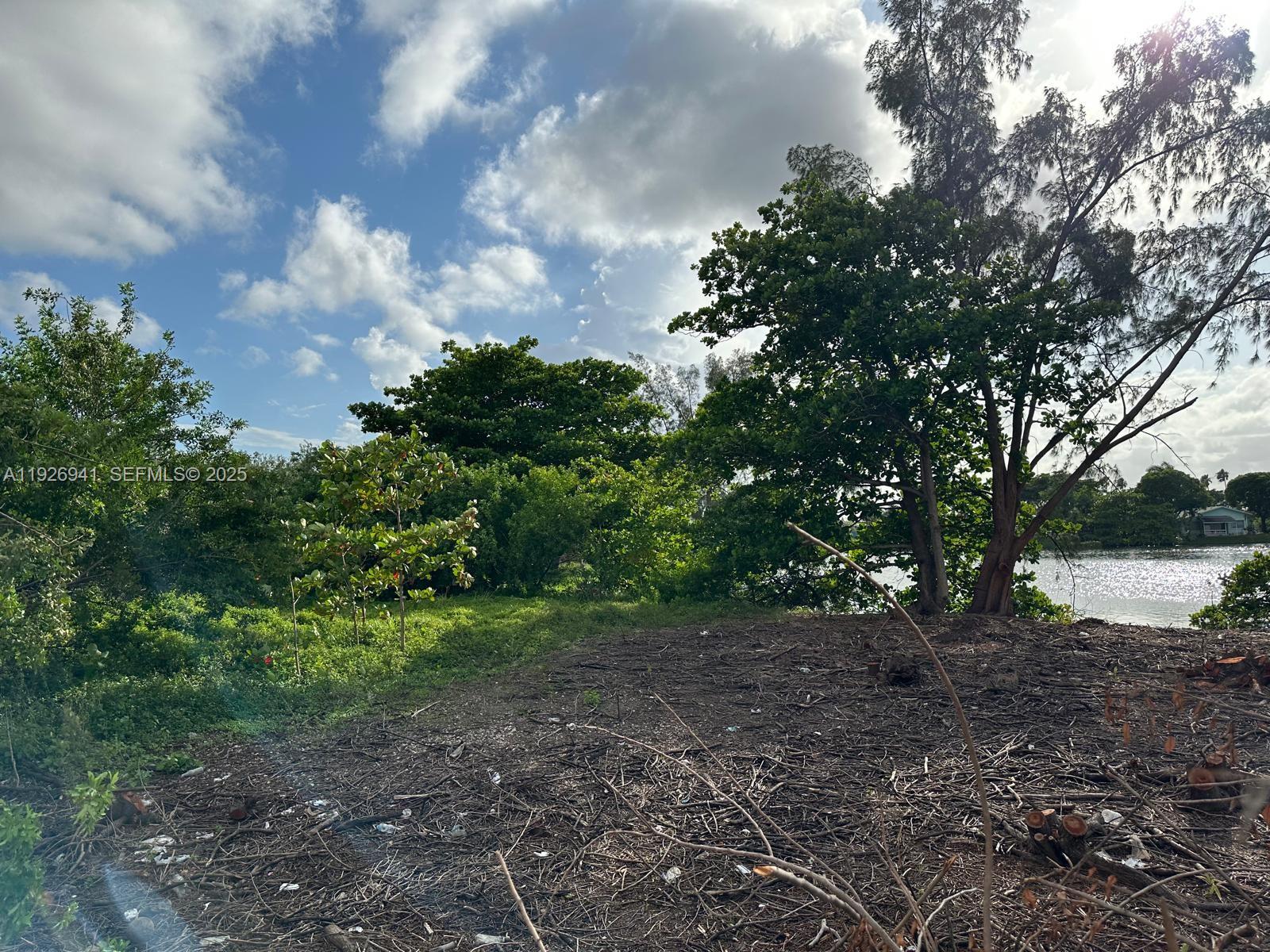 a view of a yard with a tree