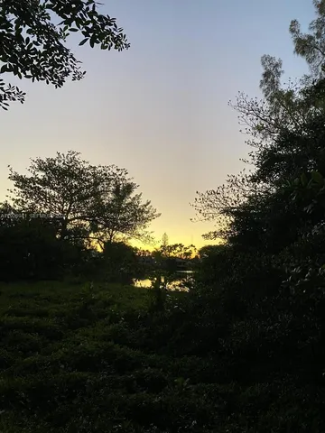 a view of outdoor space and yard
