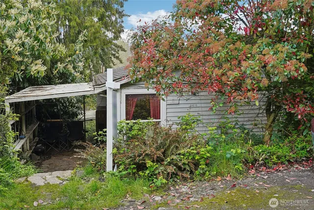 a backyard of a house with plants and large trees