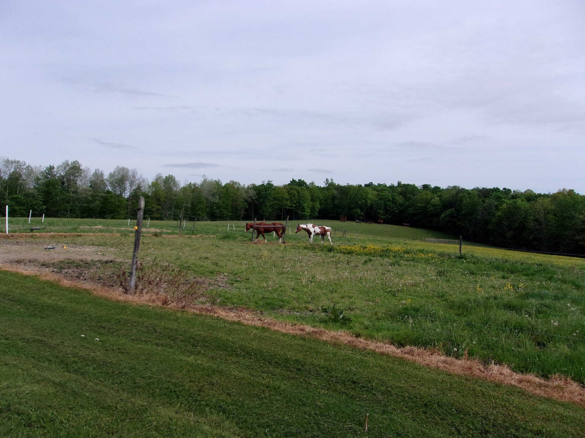 114 Fred Catlin Road Owego, NY 13827 - Photo 6 of 50
