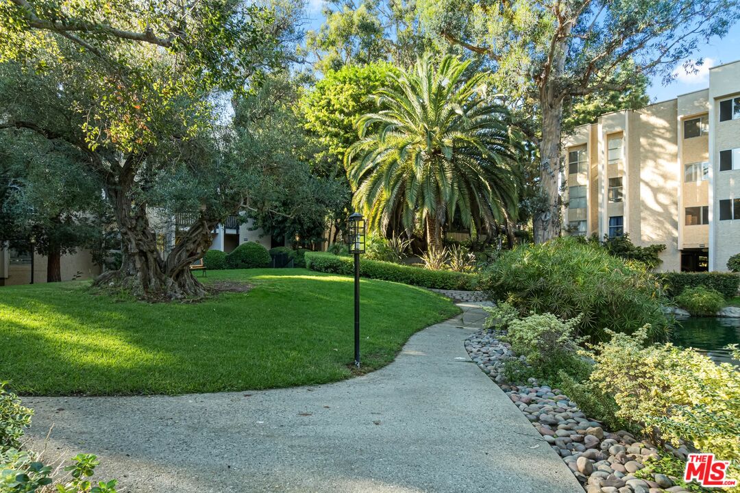 8103 Raintree Circle Culver City, CA 90230 - Photo 6 of 35 a view of a park with a tree