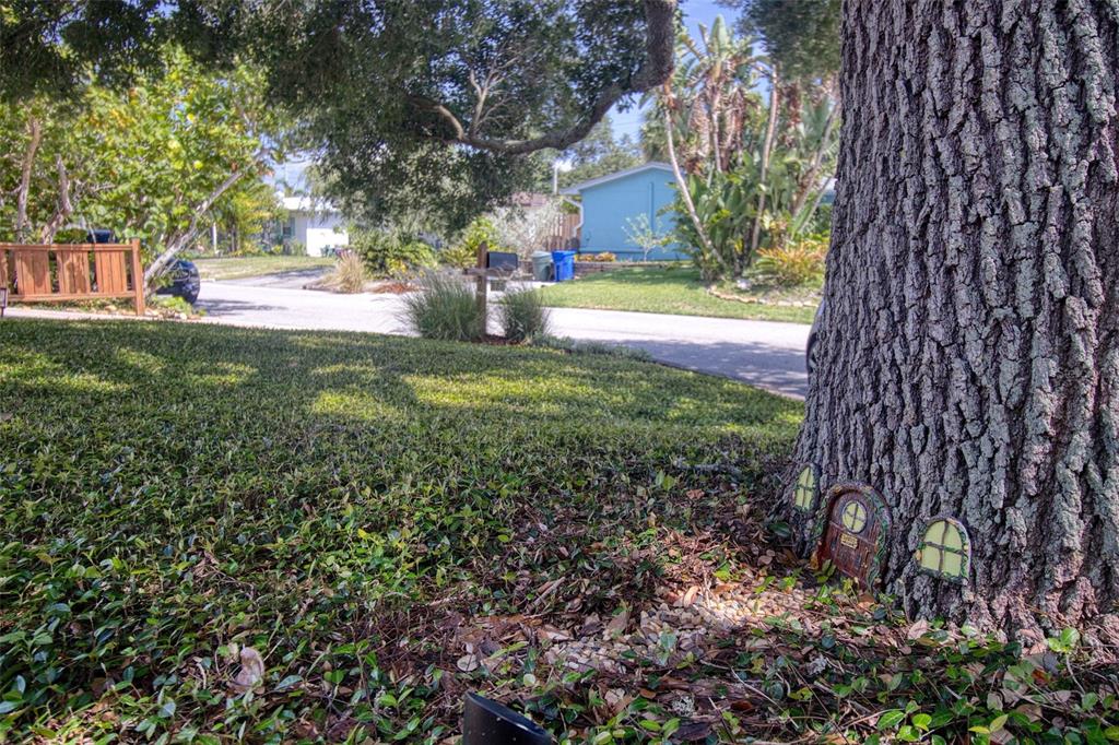 128 Edgewater Terrace Dunedin, FL 34698 - Photo 45 of 59