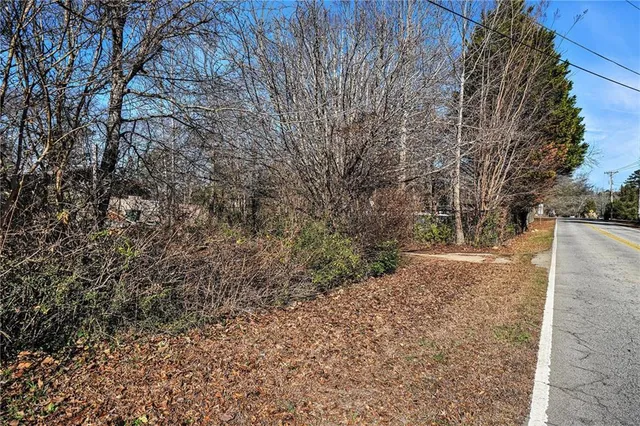 a view of a yard with large trees