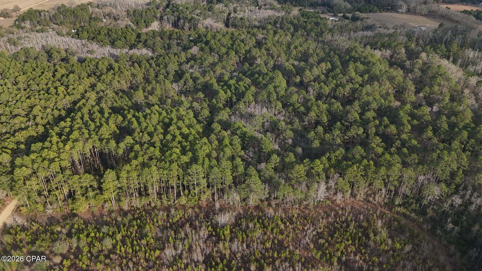 0 T J T J Mitchell Road Bonifay, FL 32425 - Photo 2 of 2