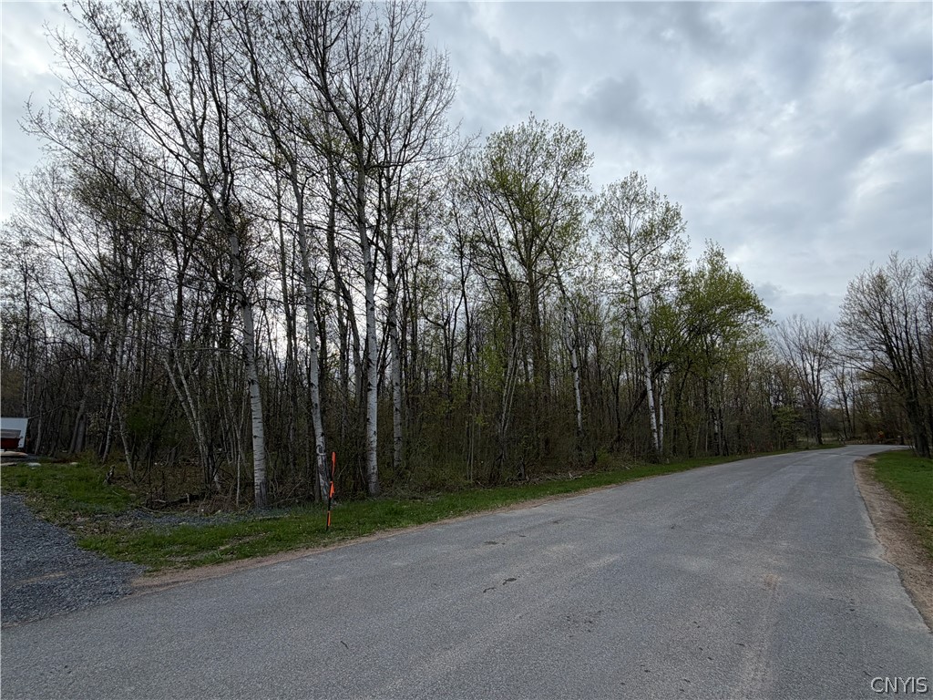 0 Farney Pit Road Carthage, NY 13619 - Photo 3 of 7