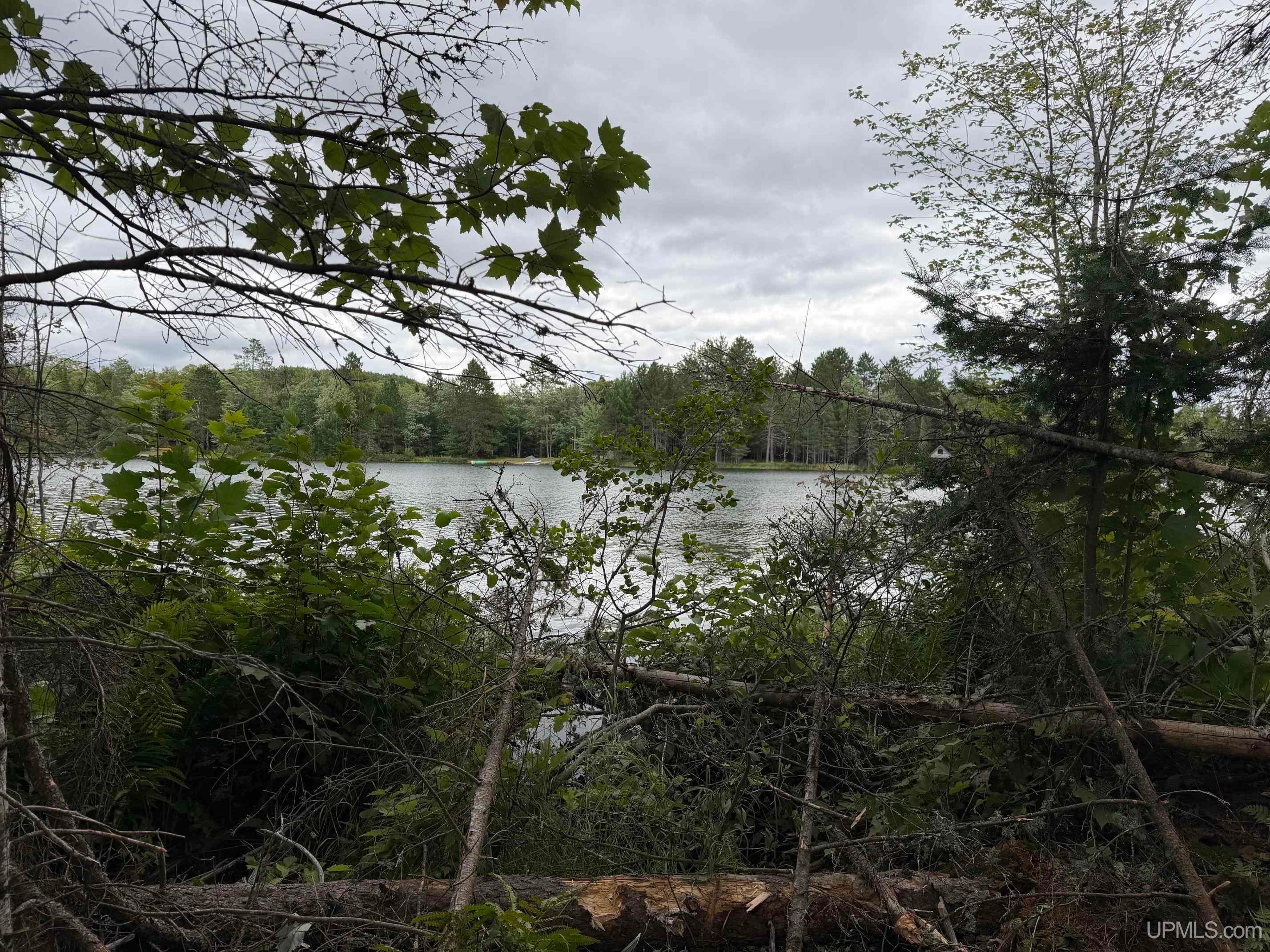 Tbd North Casey Lake Road Ishpeming, MI 49849 - Photo 4 of 19 Gallery Image 4