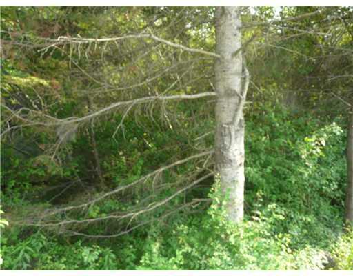Lot 6 Old Post Road Arundel, ME 04046 - Photo 7 of 12 Land/Lot.