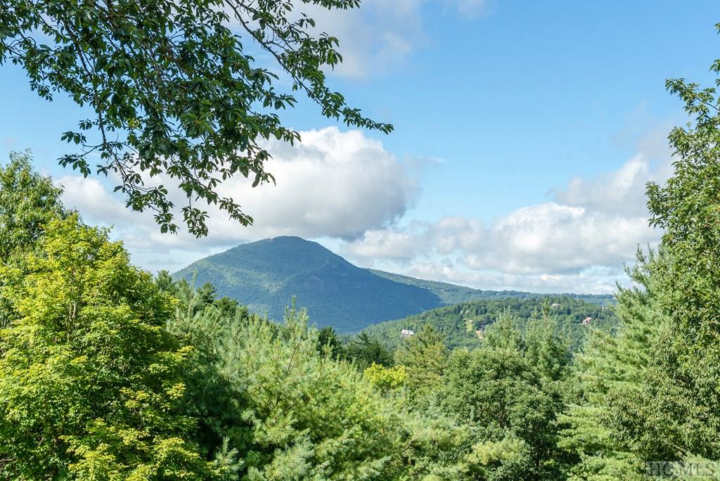1695 Big Sheepcliff Road Cashiers, NC 28717 - Photo 53 of 74 Gallery Image 53