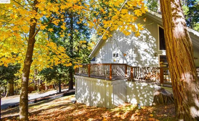 a view of swimming pool from a tree