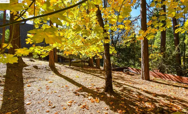 a view of a yard with wooden fence