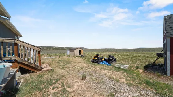 a house with tall trees in the background
