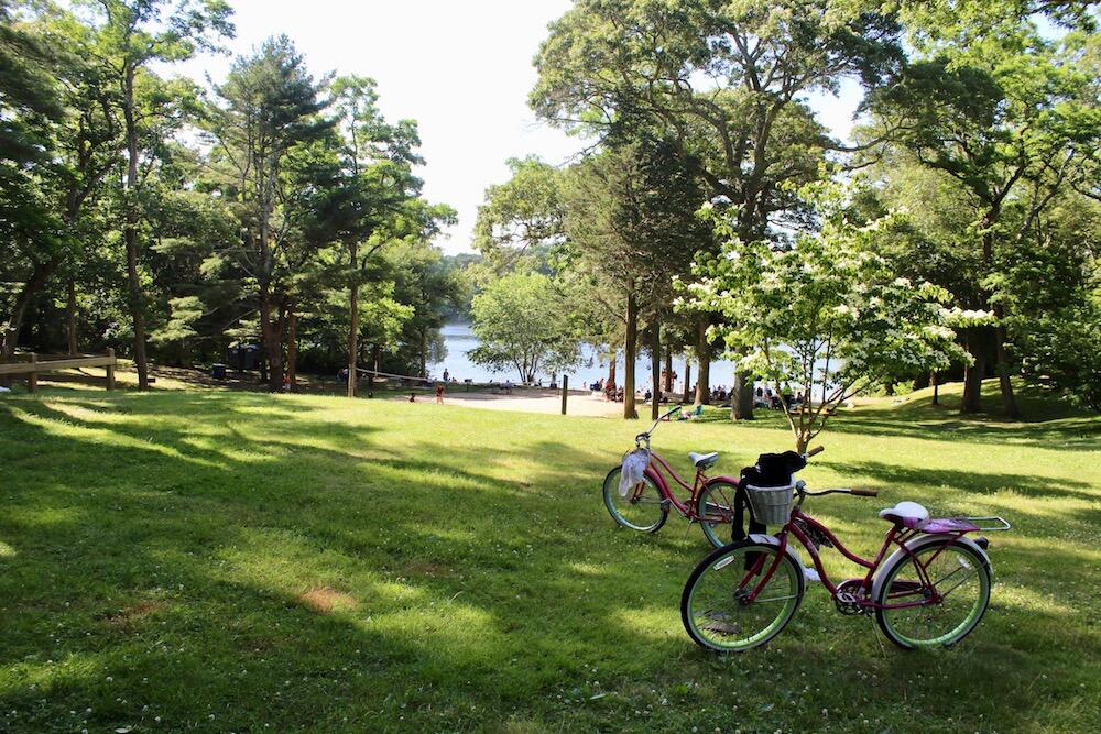 306 Trotting Park Road East Falmouth, MA 02536 - Photo 45 of 53 Goodwill park 2