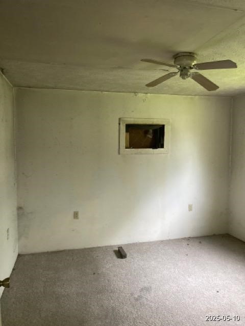 201 West Oak Daisetta, TX 77533 - Photo 4 of 6