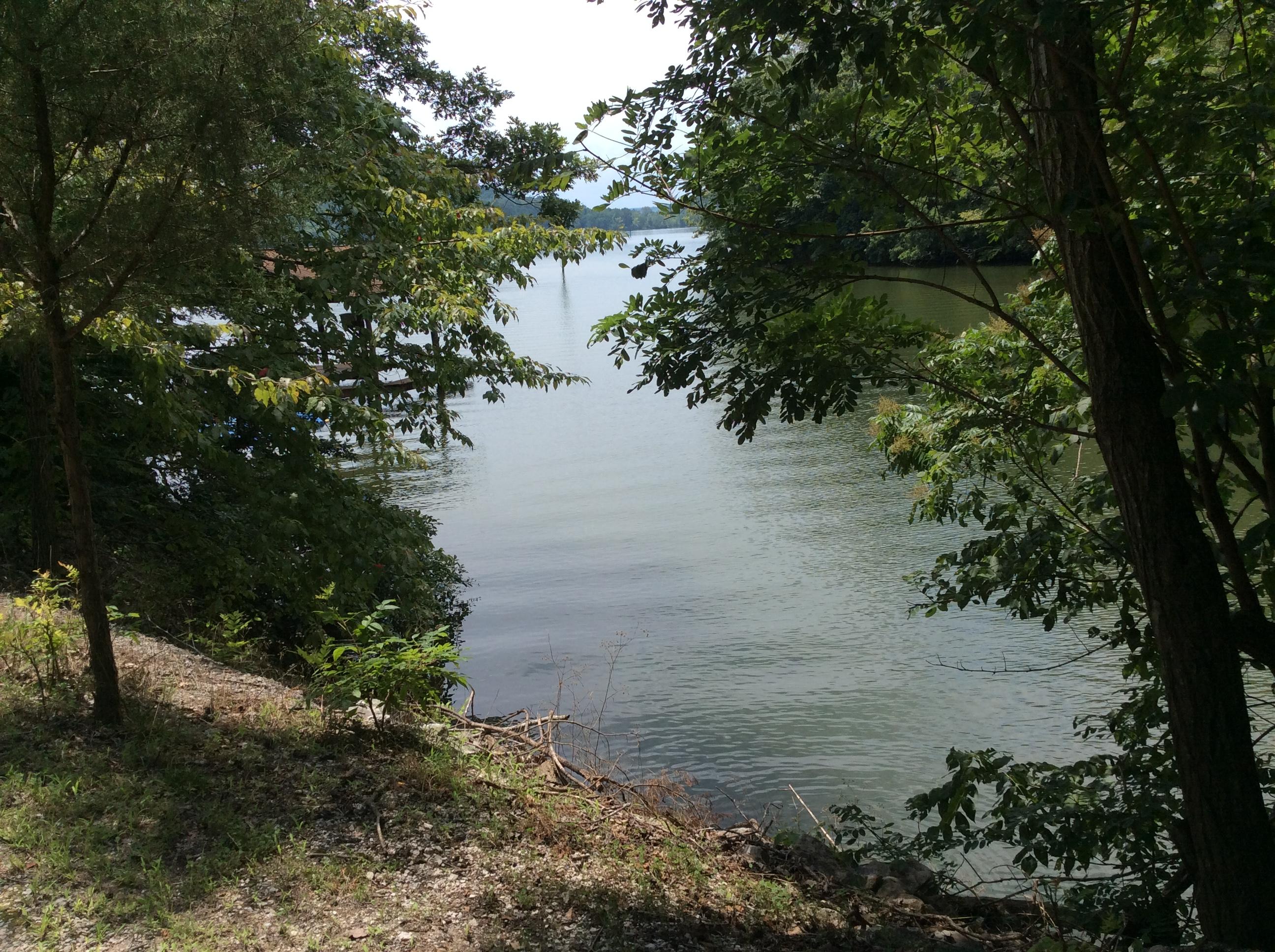 196 Mainsail Road Kingston, TN 37763 - Photo 27 of 29 2015-07-22 14.17.08