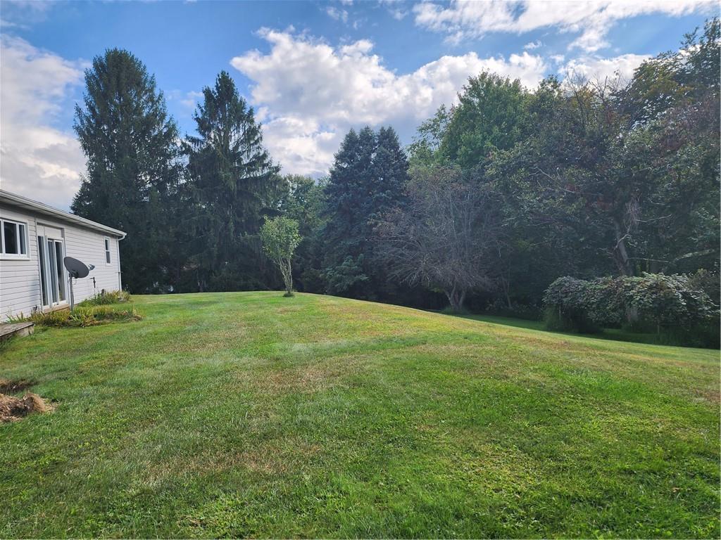 3732 North Balsiger Road Vandergrift, PA 15690 - Photo 7 of 49 a backyard of a house with lots of green space