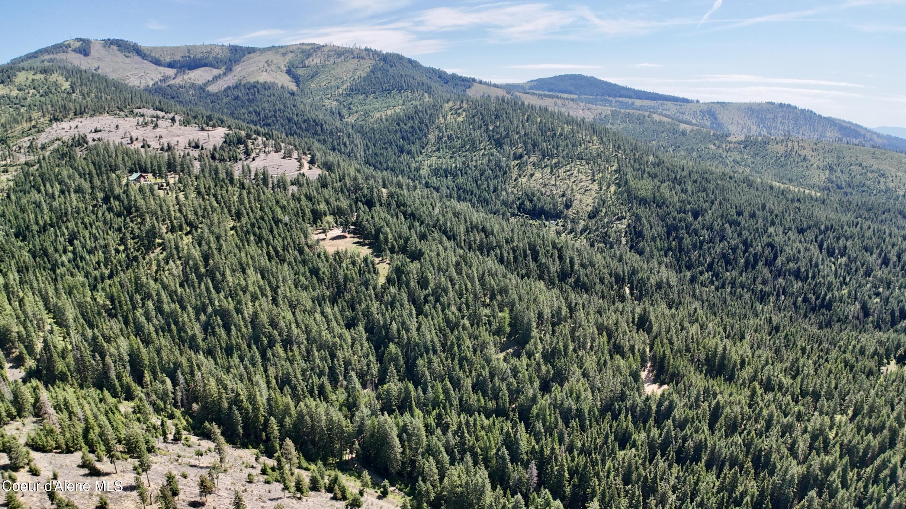 1710 Tower Mountain Road Blanchard, ID 83804 - Photo 41 of 44 42