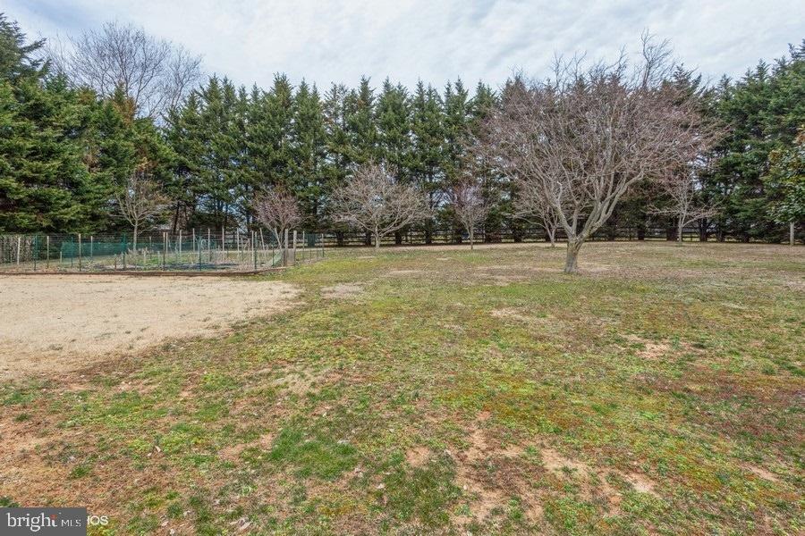 935 Dr Jack Road Conowingo, MD 21918 - Photo 17 of 40 Yard