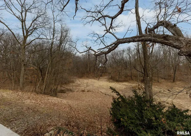 $615,000 | 9721 234th Street North, Port Byron, IL 61275