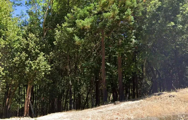 $4,900 | 24921 Clover Road, Willits, CA 95490