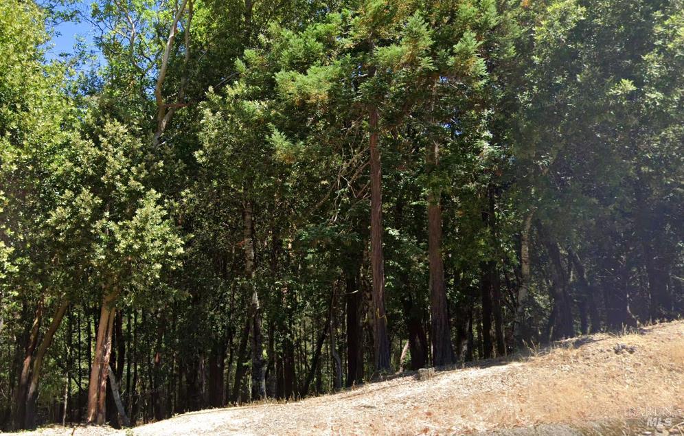 24921 Clover Road Willits, CA 95490 - Photo 1 of 2