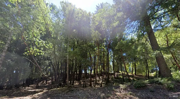 a view of backyard with green space