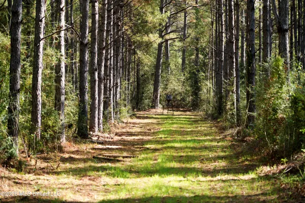 $516,150 | 0 Mallalieu Drive, Ruth, MS 39662