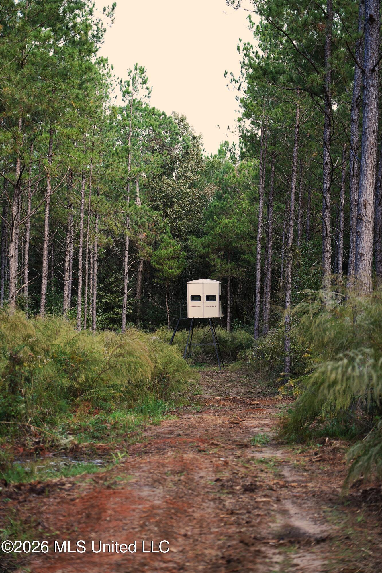 0 Mallalieu Drive Ruth, MS 39662 - Photo 2 of 21 DSC00120 (1)