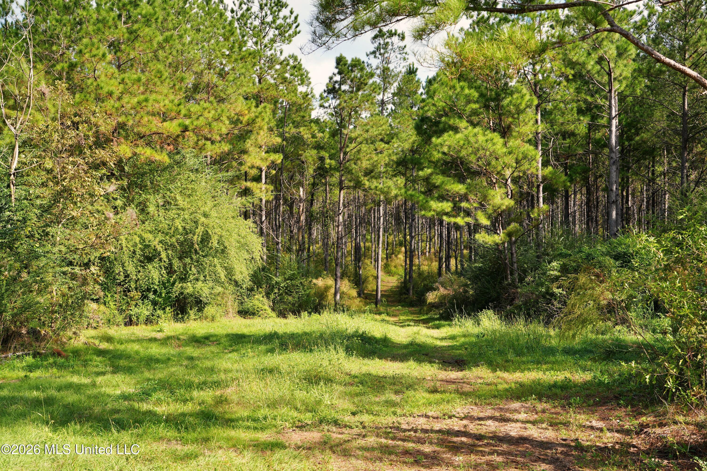 0 Mallalieu Drive Ruth, MS 39662 - Photo 21 of 21 DSC00115