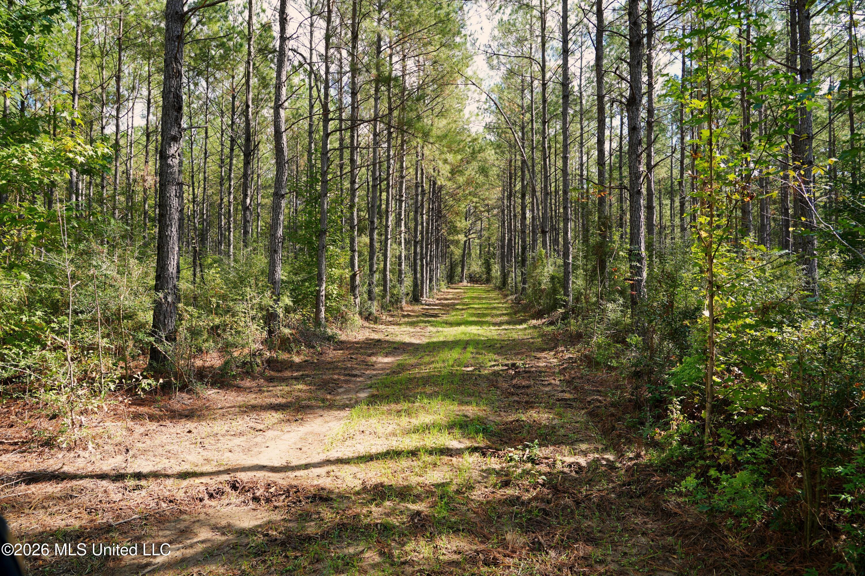 0 Mallalieu Drive Ruth, MS 39662 - Photo 7 of 21 DSC00131