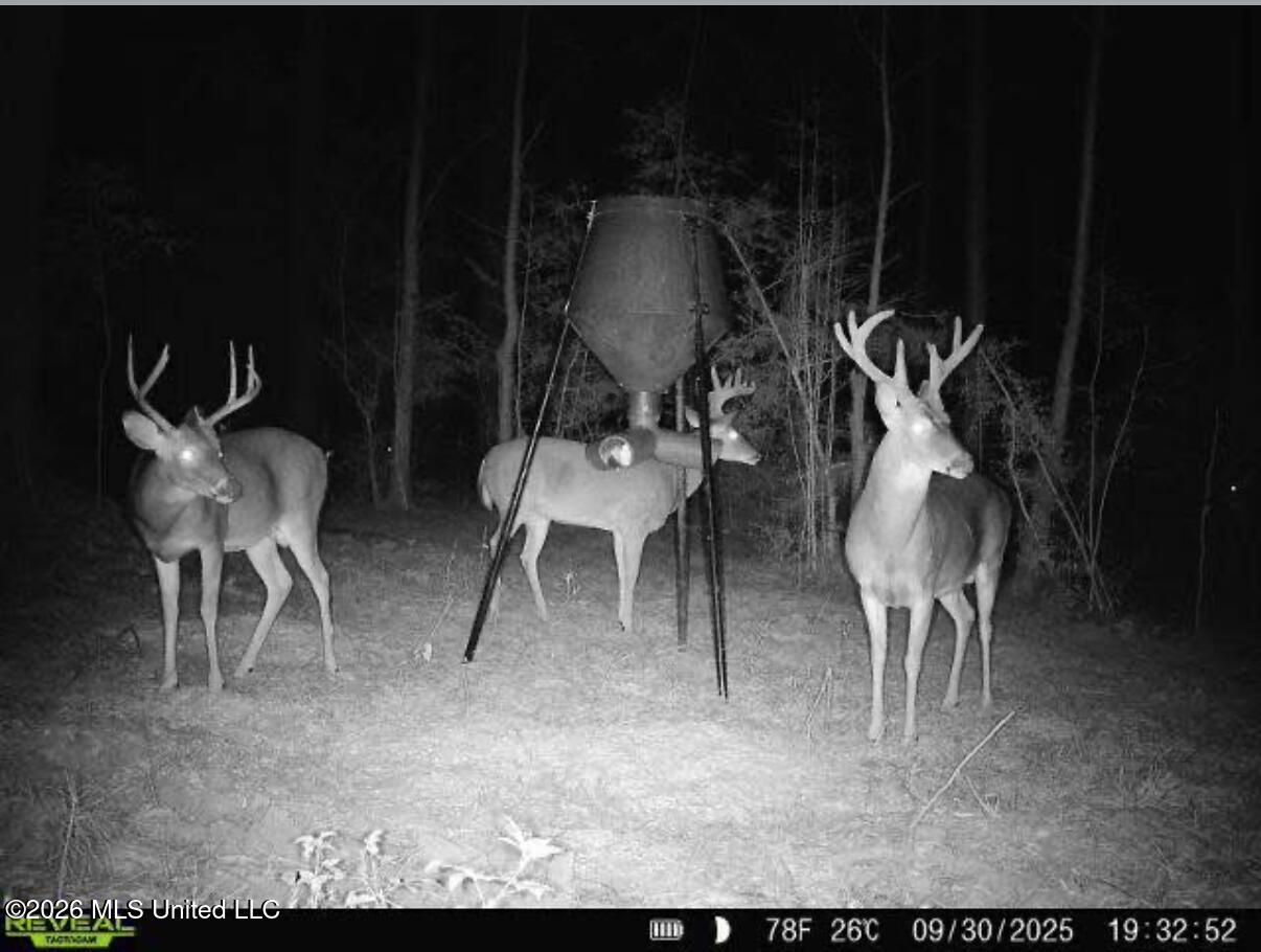 0 Mallalieu Drive Ruth, MS 39662 - Photo 9 of 21 Screenshot 2026-04-14 at 10.11.07