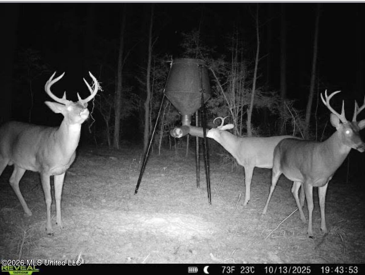 0 Mallalieu Drive Ruth, MS 39662 - Photo 10 of 21 Screenshot 2026-04-14 at 10.10.44