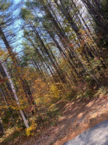 10 Sanborn Road Fryeburg, ME 04037 - Photo 2 of 2 sanborn land