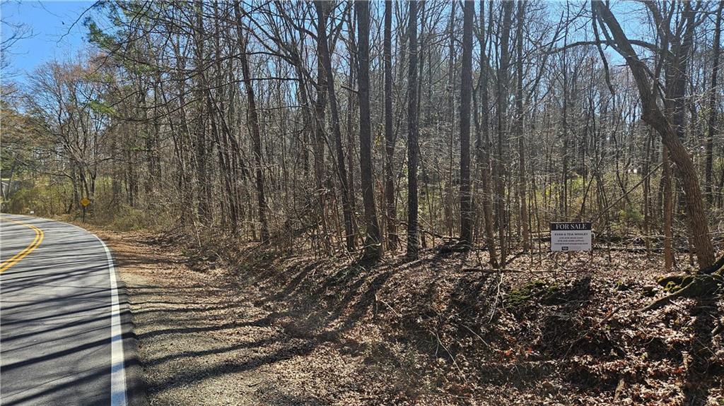 0 Cook Drive Ellenwood, GA 30294 - Photo 2 of 6