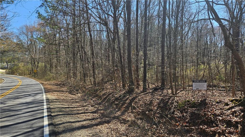 0 Cook Drive Ellenwood, GA 30294 - Photo 3 of 6