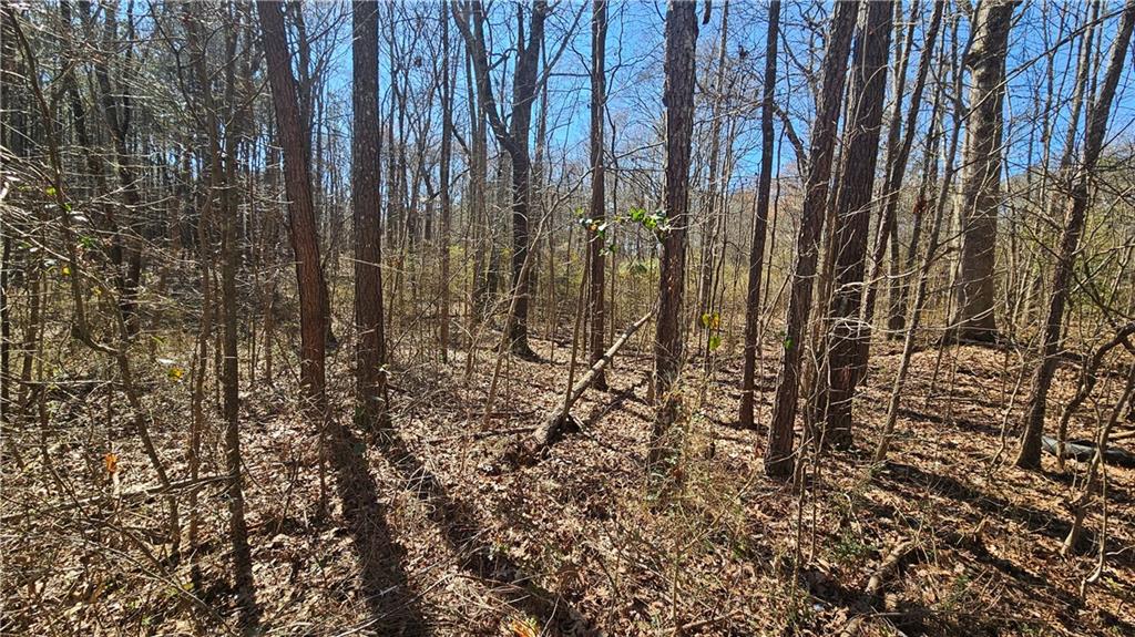 0 Cook Drive Ellenwood, GA 30294 - Photo 4 of 6