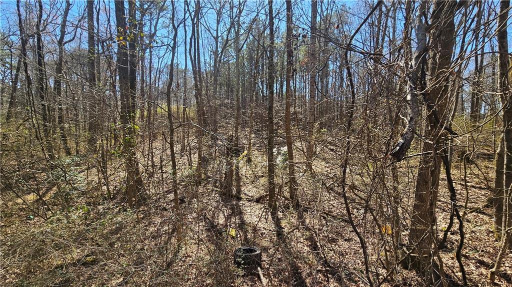 0 Cook Drive Ellenwood, GA 30294 - Photo 5 of 6