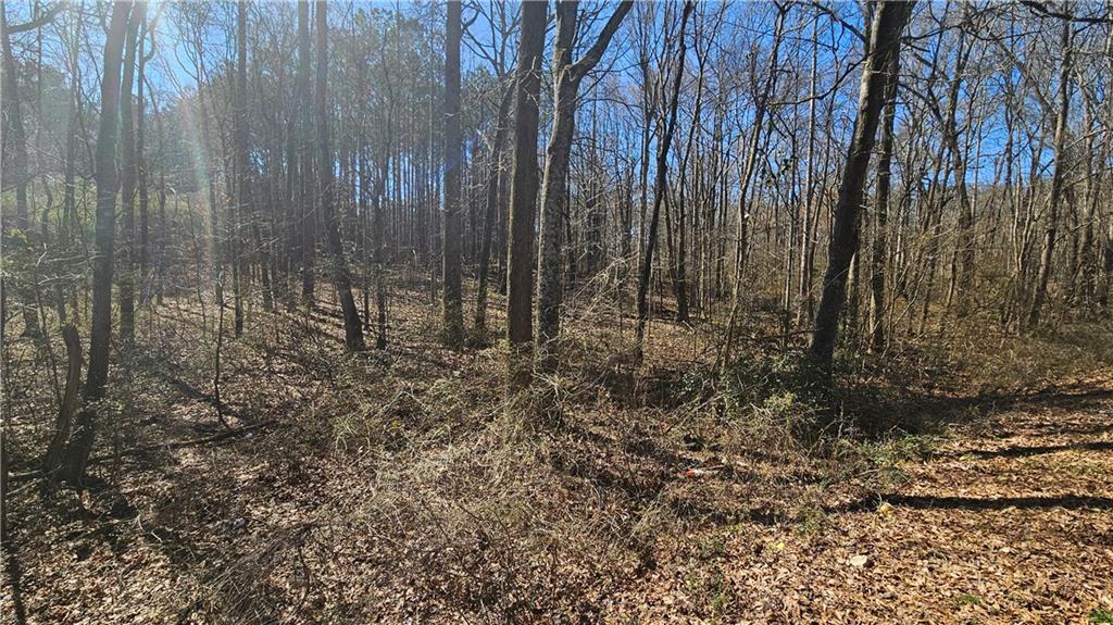 0 Cook Drive Ellenwood, GA 30294 - Photo 6 of 6