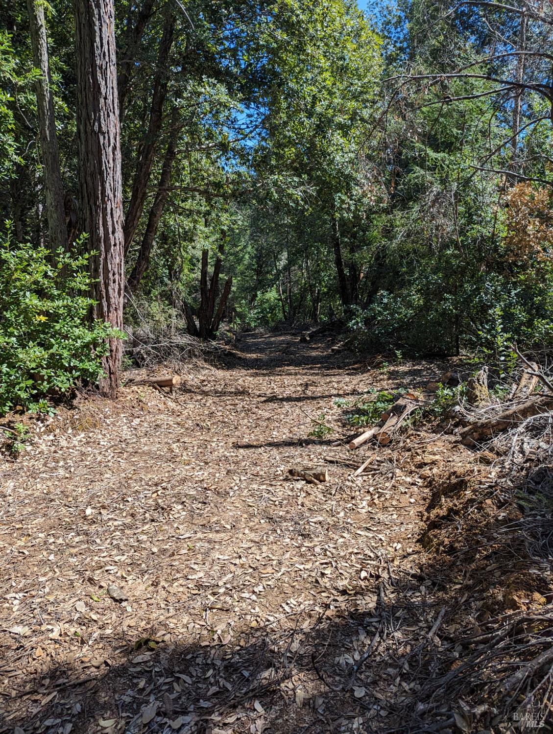 30928 King Ridge Road Cazadero, CA 95421 - Photo 1 of 1 Gallery Image 1