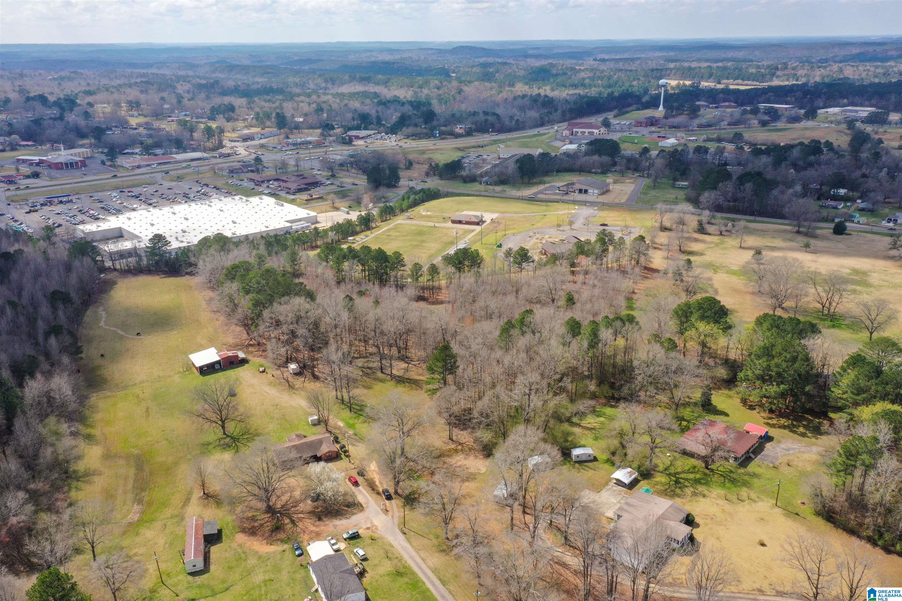 115 Thomas Road Sumiton, AL 35148 - Photo 41 of 46