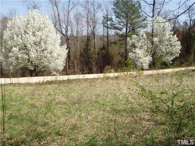 0 Elevation Road, Unit NONE Benson, NC 27504 - Photo 1 of 3 a view of yard
